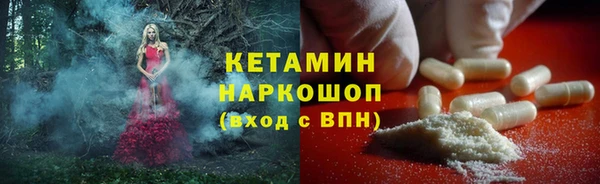 прущие грибы Верея