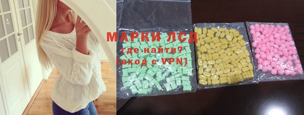 прущие грибы Верея