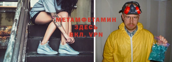 прущие грибы Верея