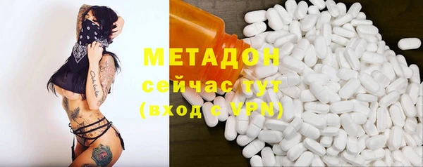 прущие грибы Верея