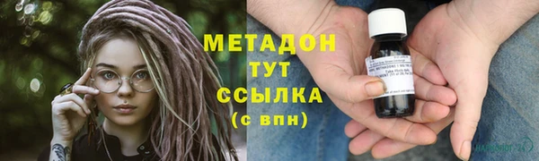 прущие грибы Верея