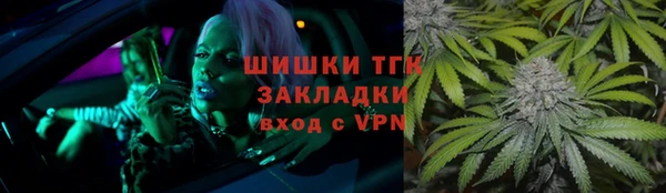 прущие грибы Верея