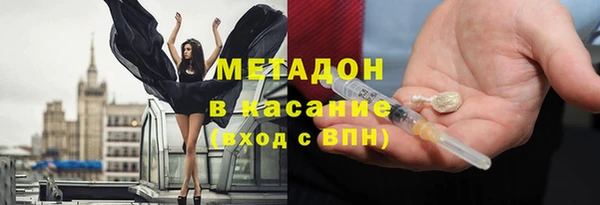 прущие грибы Верея