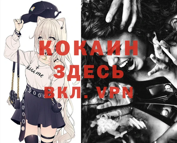 прущие грибы Верея