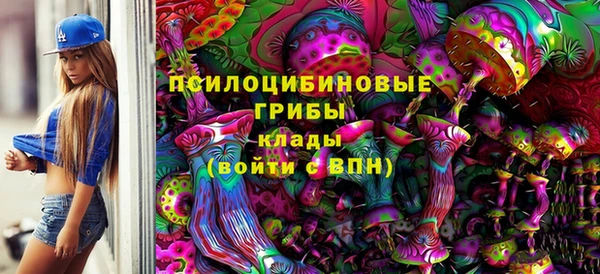 прущие грибы Верея