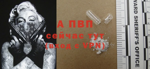 прущие грибы Верея
