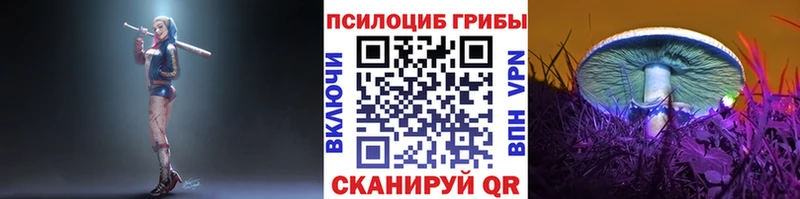 Купить  Солигалич  Галлюциногенные грибы мухоморы 